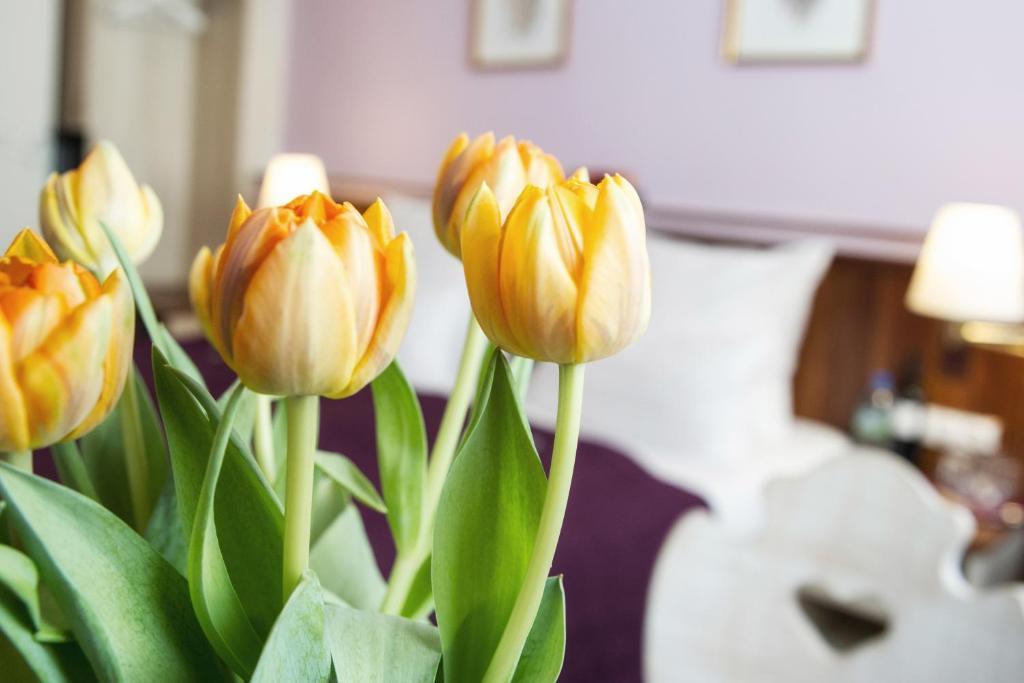 Hotel Elch Nürnberg Kültér fotó